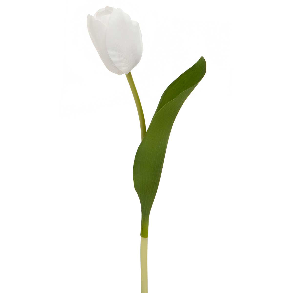 DUTCH REAL TOUCH TULIP STEM 2"X14" WHITE